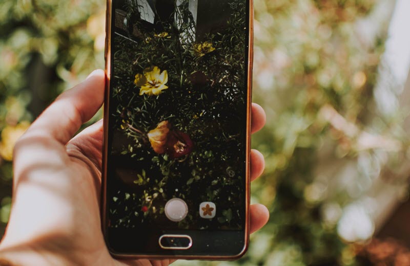 Concurso fotográfico de Jardín en Herco