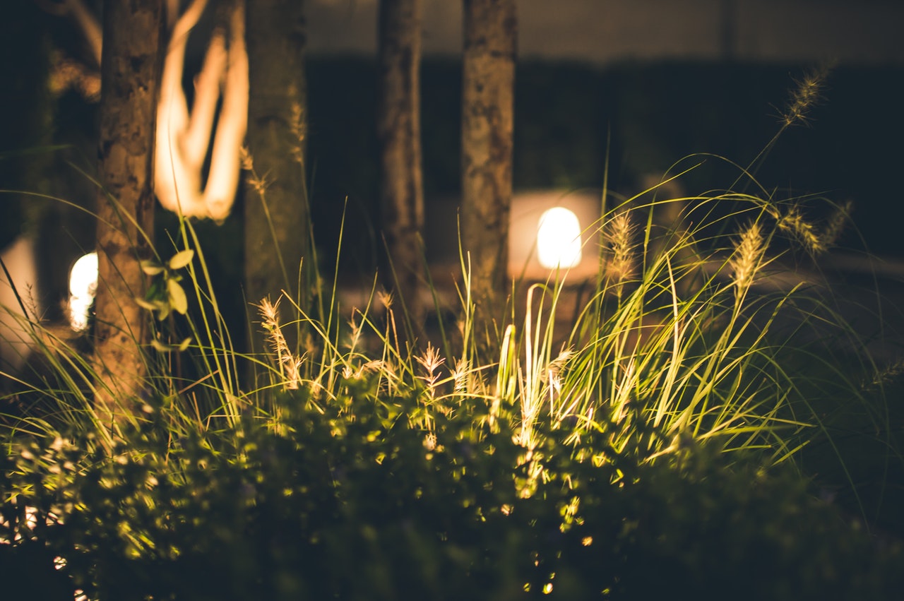 Concurso fotográfico de Jardín en Herco