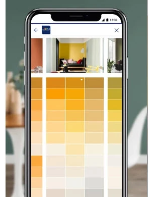 App para elegir el color de las paredes