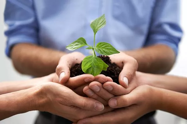 Jardines responsables: inversión sostenible para empresas Eco