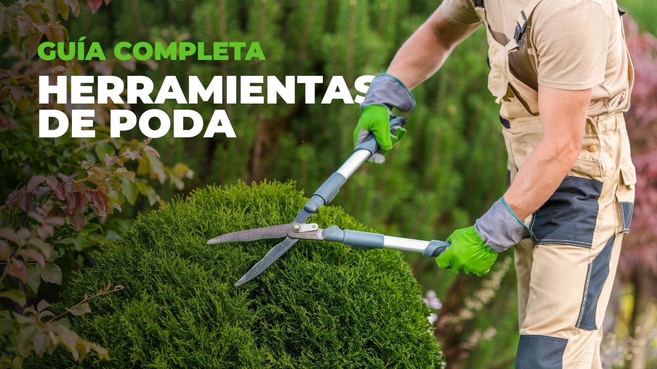 Herramientas de poda | guía completa