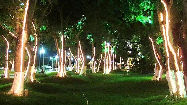 árboles iluminando el jardin