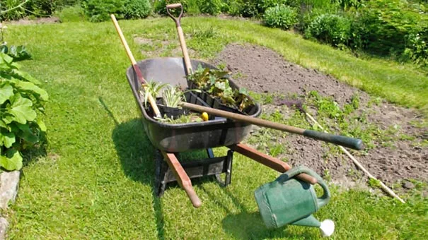Herramientas básicas para el jardín